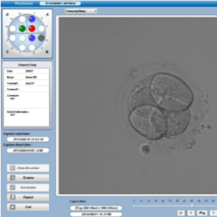 kultivácia embryí