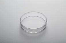 100 x 20 mm CytoOne® Dish, TC-Treated
