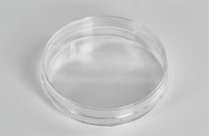 Kultivačné misky 100*20mm, PS, sterilní