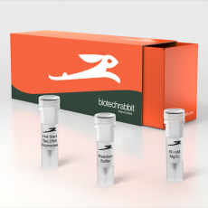 Hot Start Taq DNA Polymerase, 5 U/µl