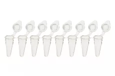 8-Strip PCR low profile Tubes, 0.1 ml (natural, Xtra-Clear)
