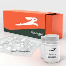 GenUP™ Blood RNA Kit 50