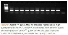 GenUP™ gDNA Kit 10 preps