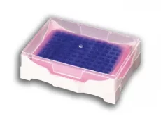 StarChill PCR, růžový/fialový
