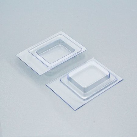 Cryomold Standard 25x20x5 mm