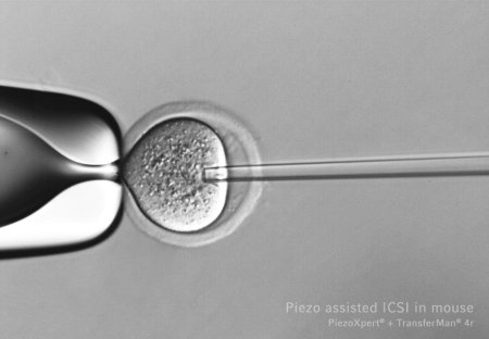 Synga Piezo Drill ICSI