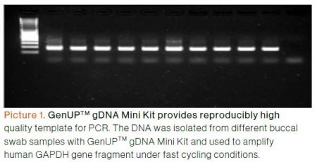 gDNA Mini Kit provides reproducibly high quality template for PCR
