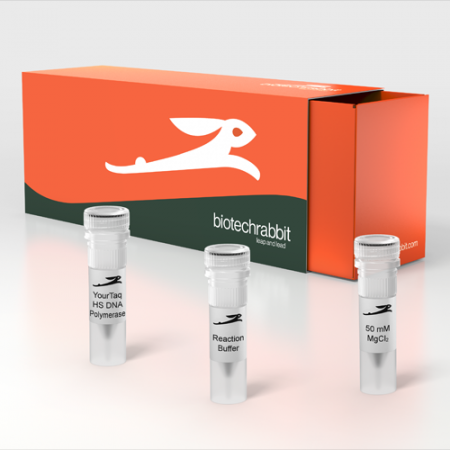 YourTaq™ Hot-Start DNA Polymerase, 5 U/µl YourTaq™ Hot-Start DNA Polymerase, 5 U/µl